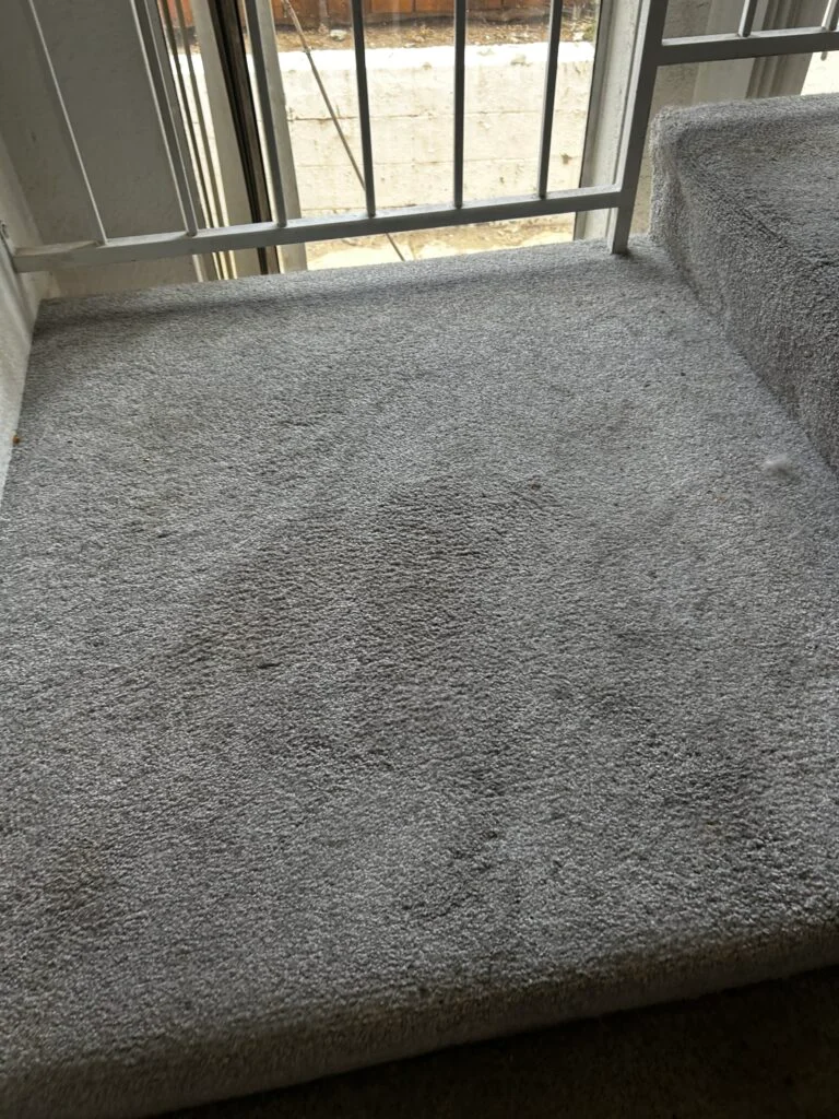 Freshly vacuumed carpet with visible vacuum lines