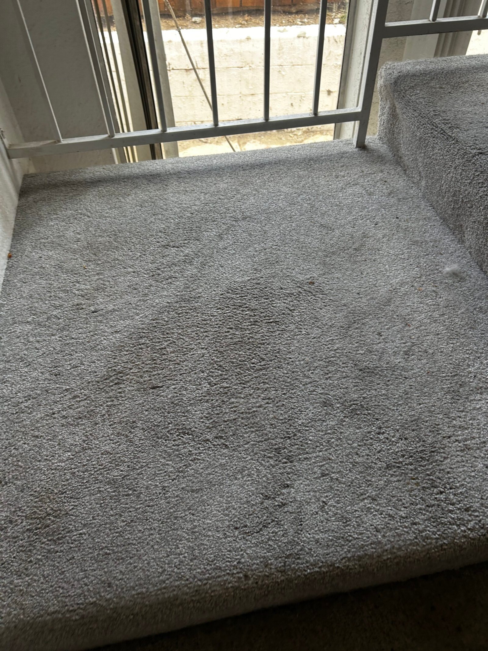 Freshly vacuumed clean carpet with visible vacuum lines
