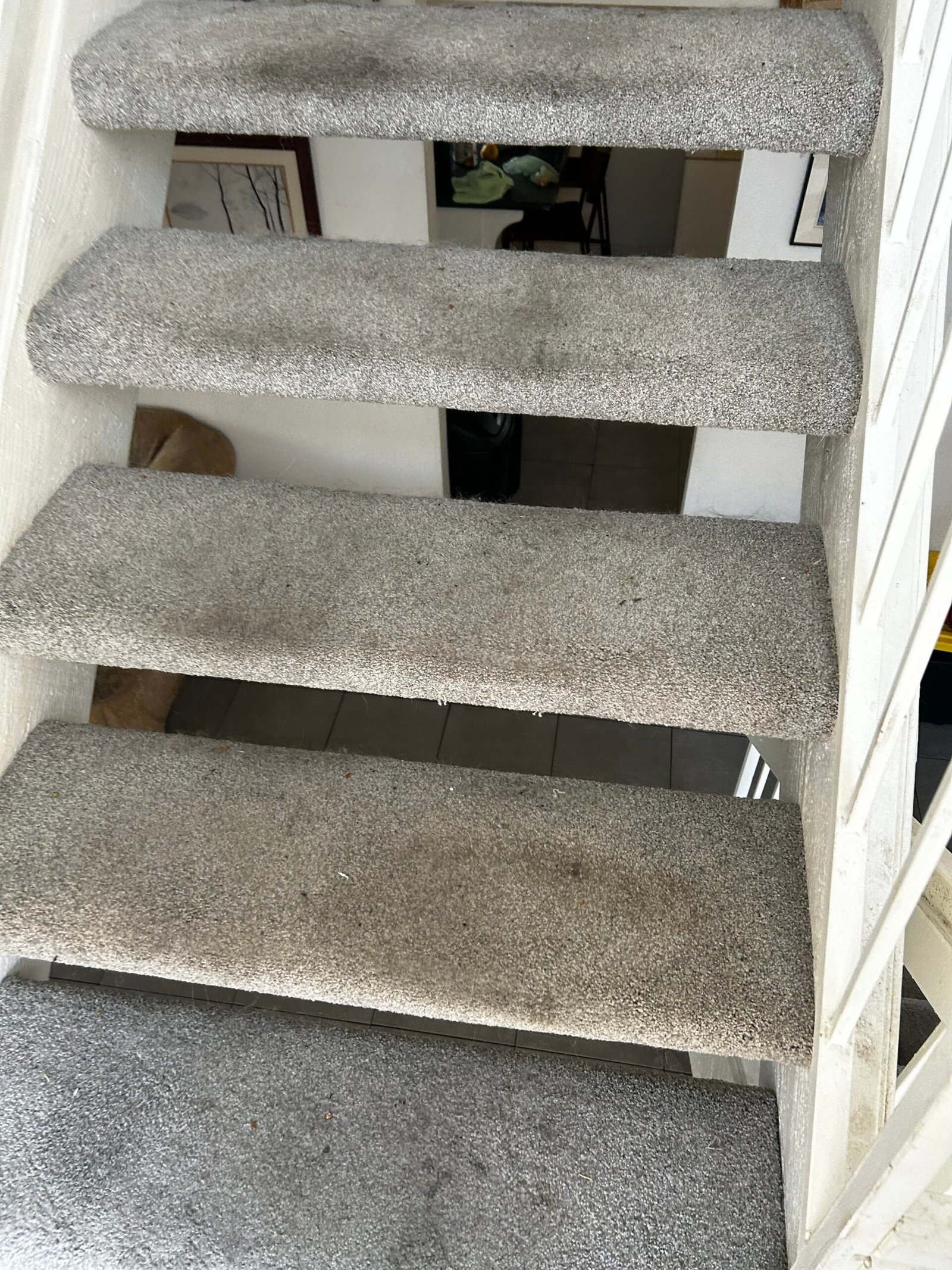 Freshly vacuumed clean carpet stairs