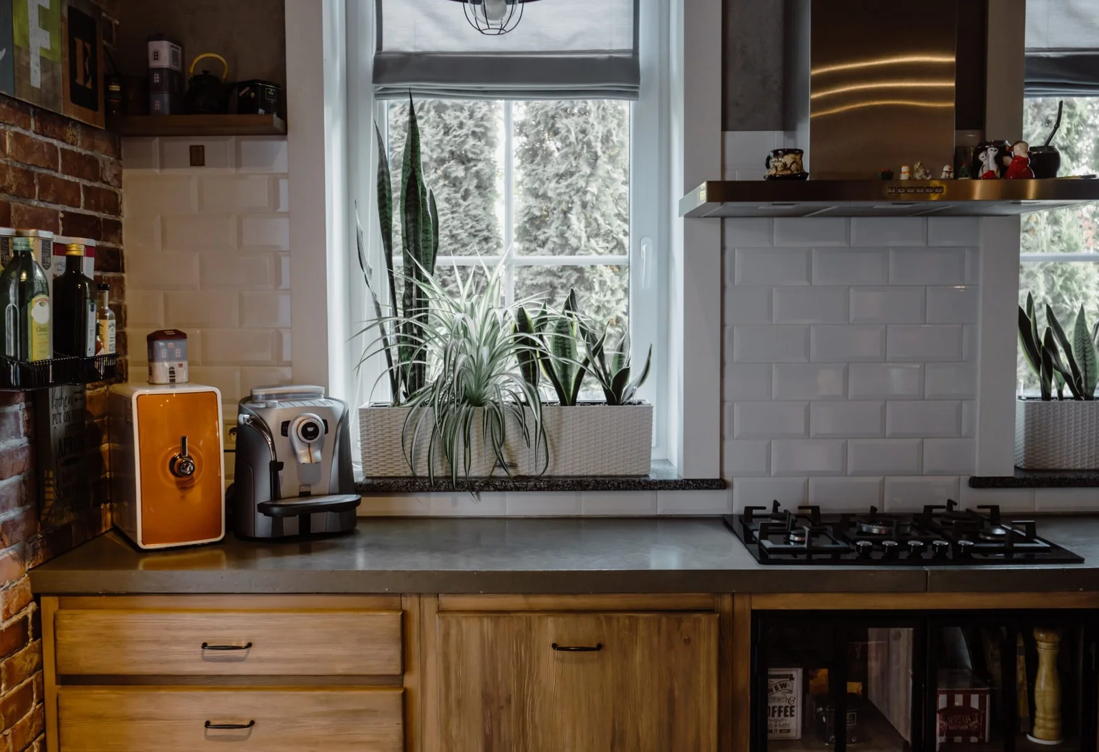 Professional house cleaning service for a ranch-style home in Alpine, CA